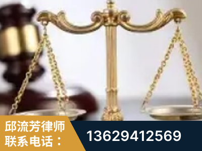 海南-委托诉讼代理人出庭